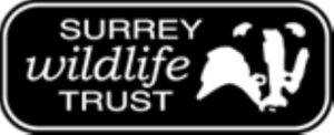 surrey logo high res